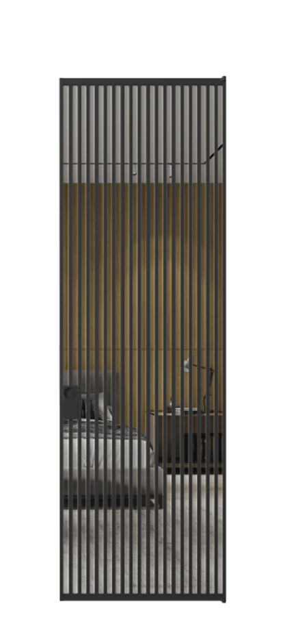 Алюминиевая дверь АЛПЛ040.06 Алюминий Черный Двустороннее зеркало, триплекс 6 мм, триплекс 6 мм Цена 208990  | Volhovec